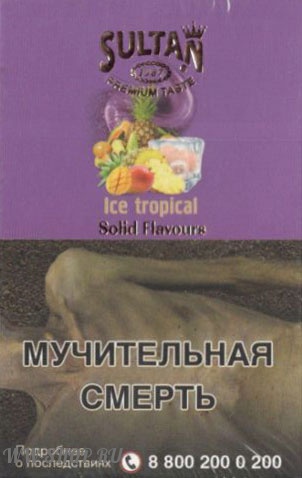 sultan- ледяной тропик (ice tropical) Калининград