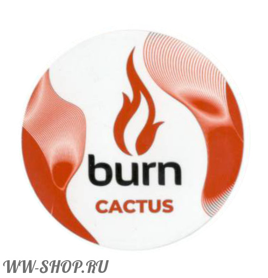 burn- кактус (cactus) Калининград